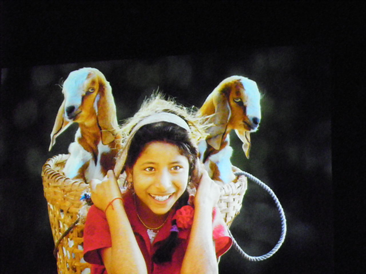 116_0354_JPG-1346880813