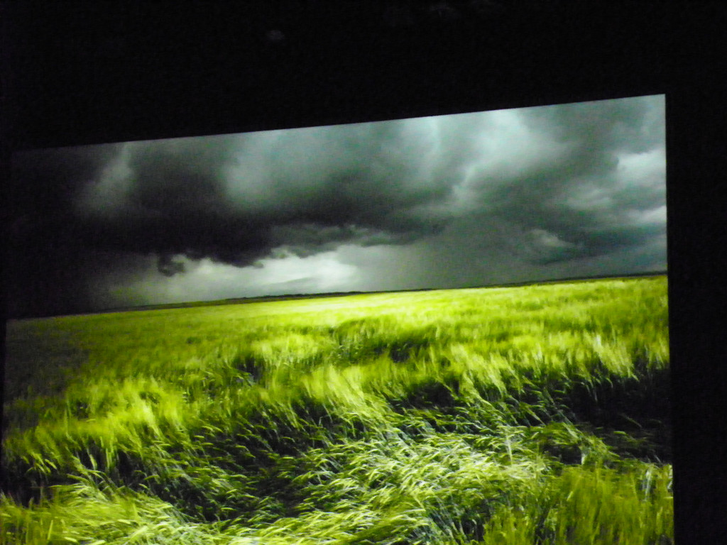 116_0335_JPG-1346880783