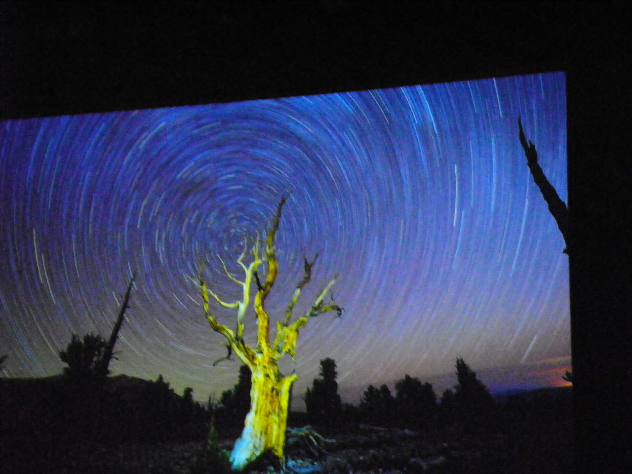 116_0347_JPG-1346880807