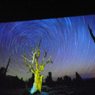 116_0347_JPG-1346880807