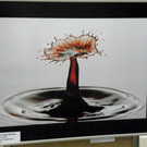 116_0429_JPG-1346881644