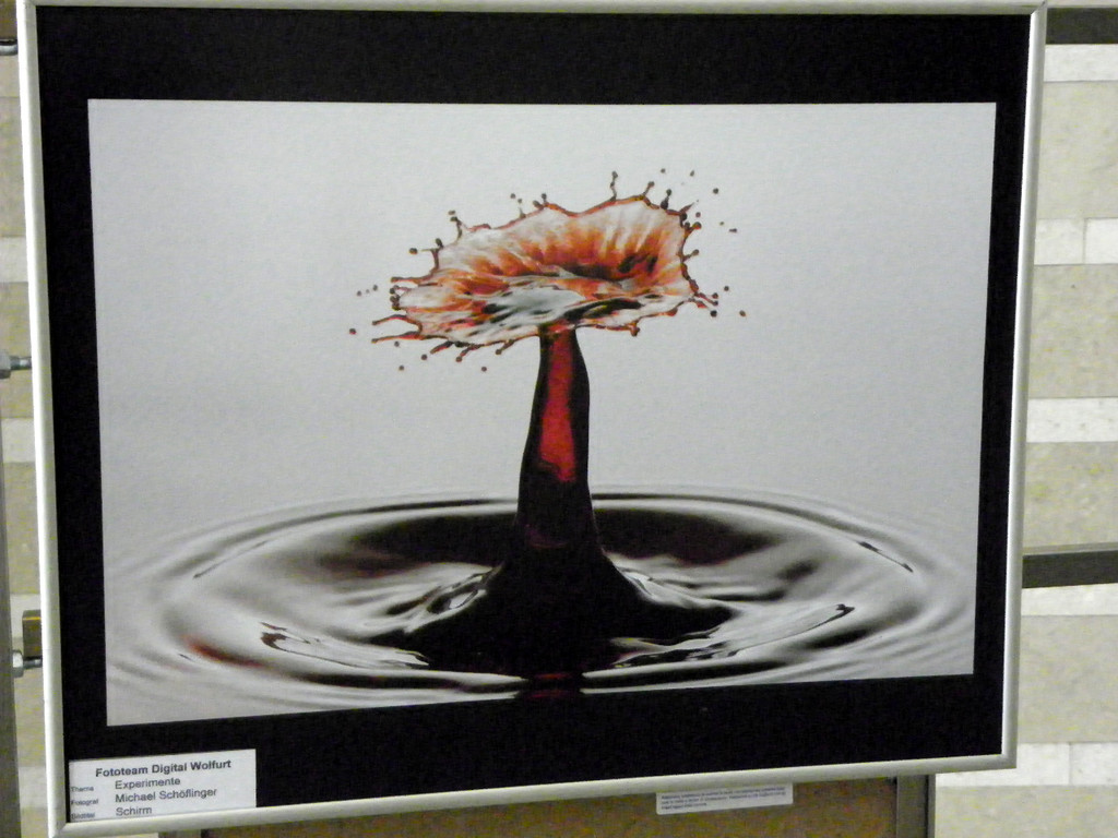 116_0429_JPG-1346881644