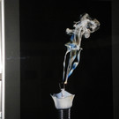 116_0432_JPG-1346881661