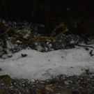 050912unwetterat04003aktivnews013.JPG