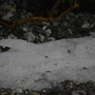 050912unwetterat04003aktivnews012.JPG