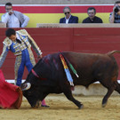 IBD1132-20120903.jpg