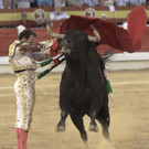 IBD0241-20120903.jpg