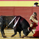 IBD1131-20120903.jpg