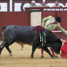 IBD1376-20120902.jpg