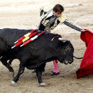 IBD1269-20120901.jpg