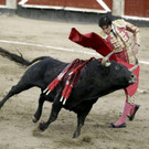 IBD1267-20120901.jpg
