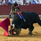IBD0730-20120827.jpg