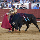IBD1048-20120828.jpg