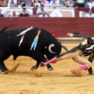 IBD0695-20120827.jpg