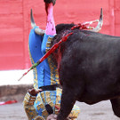 IBD0619-20120826.jpg