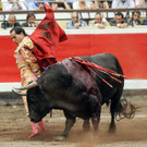 IBD0683-20120822.jpg