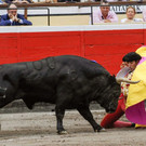 IBD0682-20120822.jpg