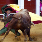 IBD0443-20120821.jpg