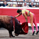 IBD0383-20120821.jpg