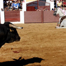IBD0225-20120816.jpg