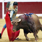 IBD0224-20120816.jpg