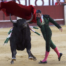 IBD0221-20120816.jpg