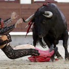 IBD0425-20120815.jpg