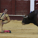 IBD1785-20120812.jpg