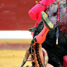 IBD0440-20120814.jpg