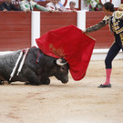 IBD1785-20120811.jpg