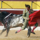 IBD2028-20120810.jpg