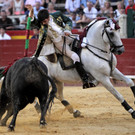 IBD2213-20120729.jpg