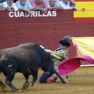 IBD0839-20120721.jpg