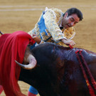 IBD0838-20120721.jpg