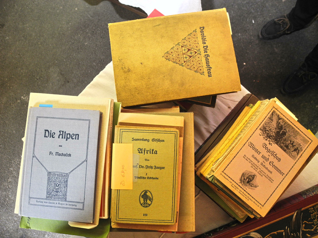 DSCN8883_JPG-1346943976