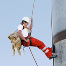 Rettungshund_Abseilen_c_Johanniter.jpg
