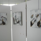 DSCN9050_JPG-1346945558