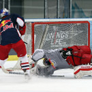 Red Bulls: Saisonvorbereitung