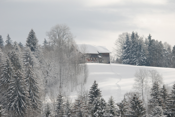 DSC_0036.JPG