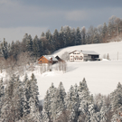 DSC_0048.JPG