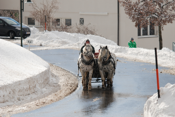 DSC_0049.JPG