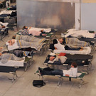 IBD0071-20120905.jpg