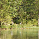Traumhafte Langbathseen