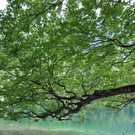 05092012wetterat02007aktivnews055.jpg