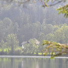05092012wetterat02007aktivnews020.jpg