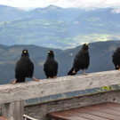 06092012obersalzbergat02007aktivnews121.jpg