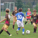 P9060048_JPG-1347007916