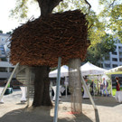IMG_6366.JPG