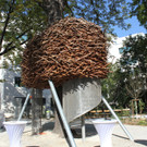 IMG_6367.JPG