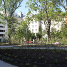 IMG_6376.JPG